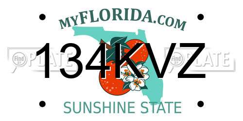134KVZ Florida License Plate