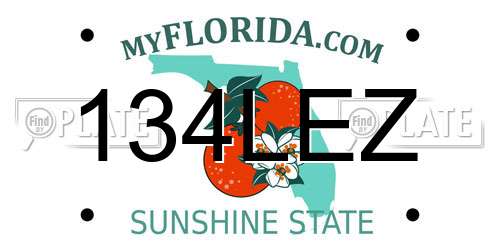 134LEZ Florida License Plate