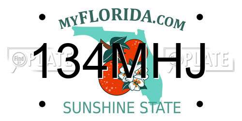 134MHJ Florida License Plate