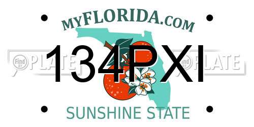 134PXI Florida License Plate