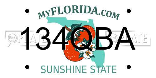 134QBA Florida License Plate