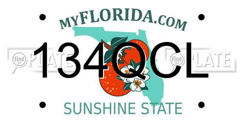 134QCL Florida License Plate