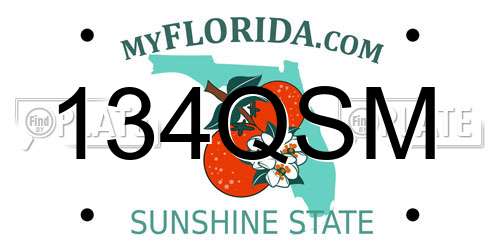134QSM Florida License Plate