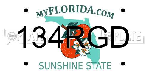134RGD Florida License Plate