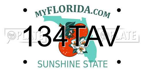 134TAV Florida License Plate