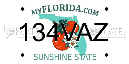 134VAZ Florida License Plate