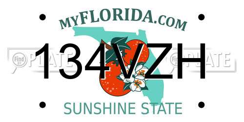 134VZH Florida License Plate