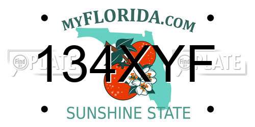 134XYF Florida License Plate