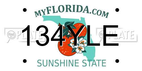 134YLE Florida License Plate