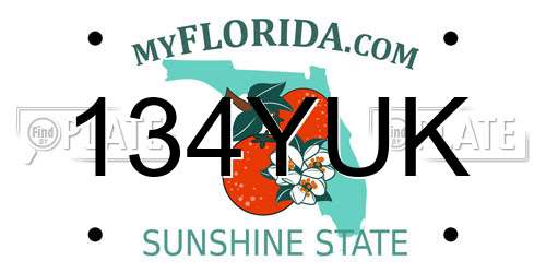 134YUK Florida License Plate
