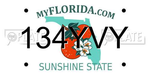 134YVY Florida License Plate