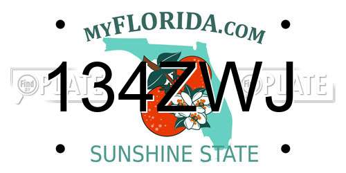 134ZWJ Florida License Plate