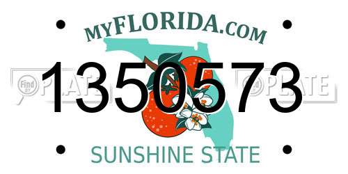 1350573 Florida License Plate