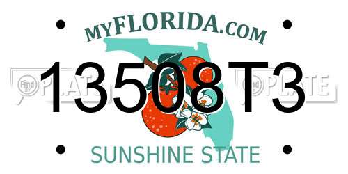 13508T3 Florida License Plate
