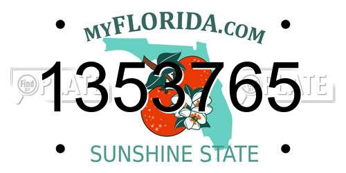 1353765 Florida License Plate