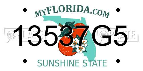 13537G5 Florida License Plate