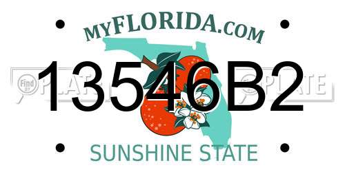 13546B2 Florida License Plate