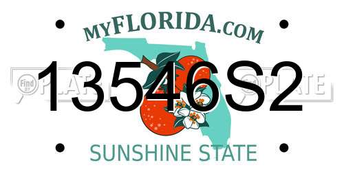 13546S2 Florida License Plate