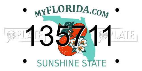 135711 Florida License Plate