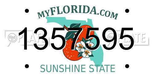 1357595 Florida License Plate