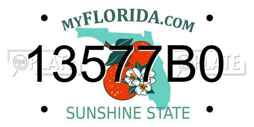 13577B0 Florida License Plate