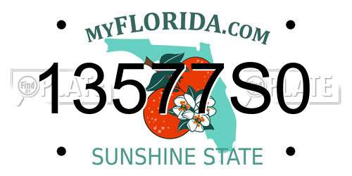 13577S0 Florida License Plate