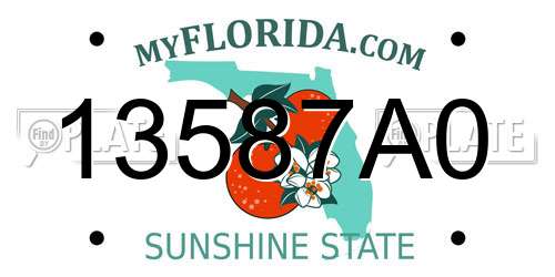 13587A0 Florida License Plate