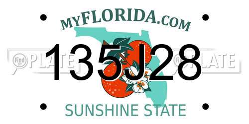 135J28 Florida License Plate