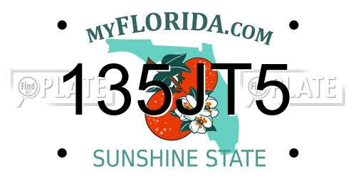135JT5 Florida License Plate