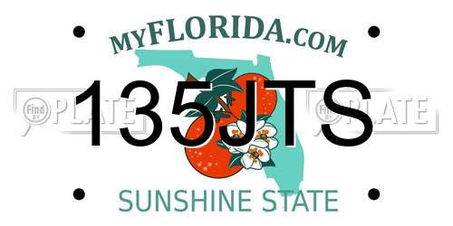 135JTS Florida License Plate