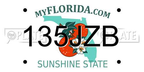 135JZB Florida License Plate