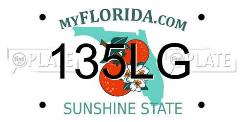 135LG Florida License Plate