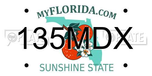 135MDX Florida License Plate