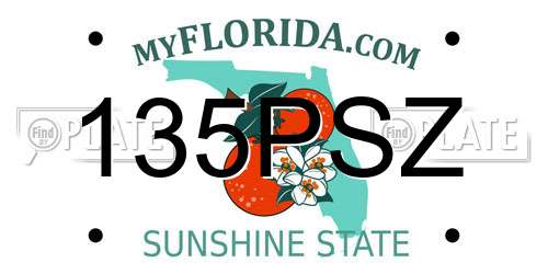 135PSZ Florida License Plate