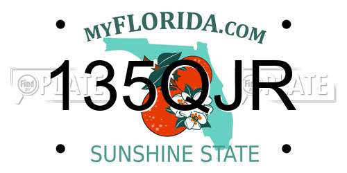 135QJR Florida License Plate
