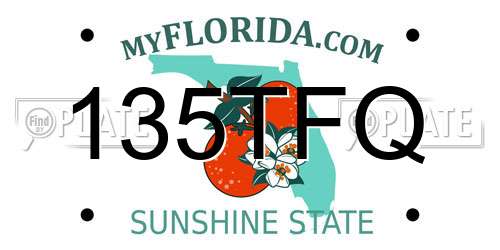 135TFQ Florida License Plate