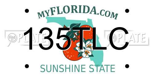 135TLC Florida License Plate