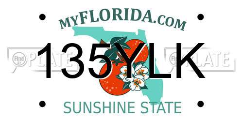 135YLK Florida License Plate
