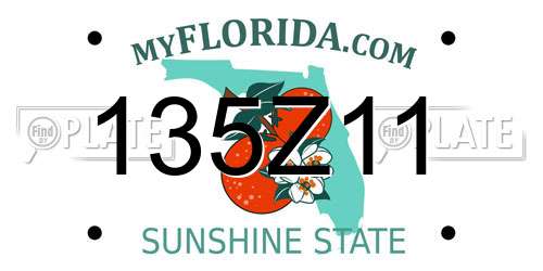 135Z11 Florida License Plate