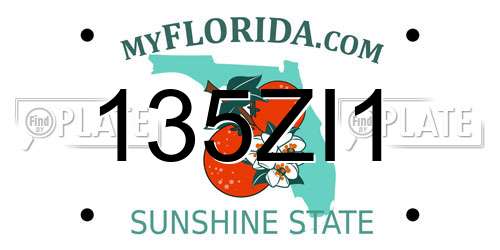 135ZI1 Florida License Plate