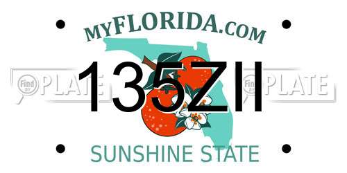 135ZII Florida License Plate