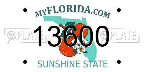 13600 Florida License Plate