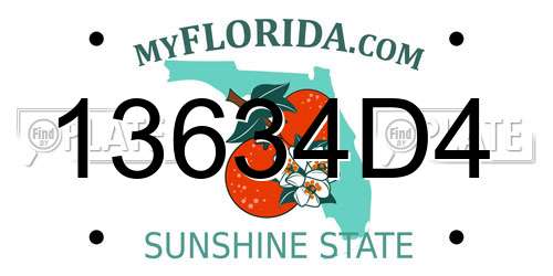 13634D4 Florida License Plate