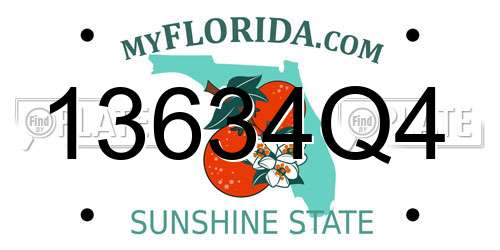 13634Q4 Florida License Plate