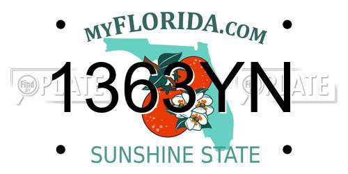 1363YN Florida License Plate