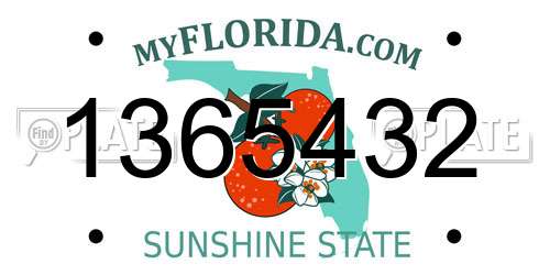 1365432 Florida License Plate