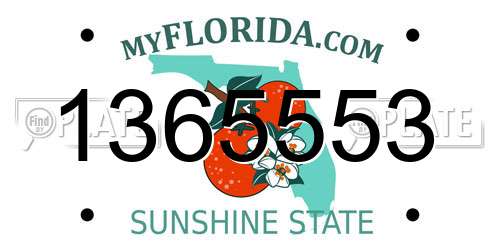 1365553 Florida License Plate