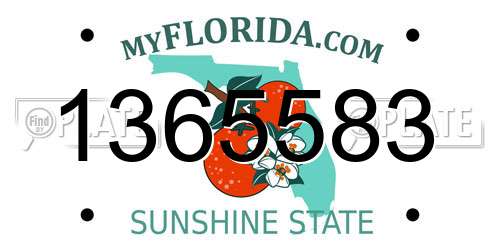 1365583 Florida License Plate