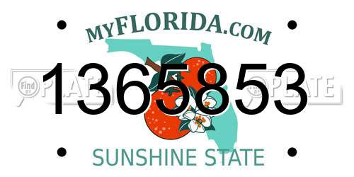 1365853 Florida License Plate