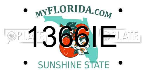 1366IE Florida License Plate